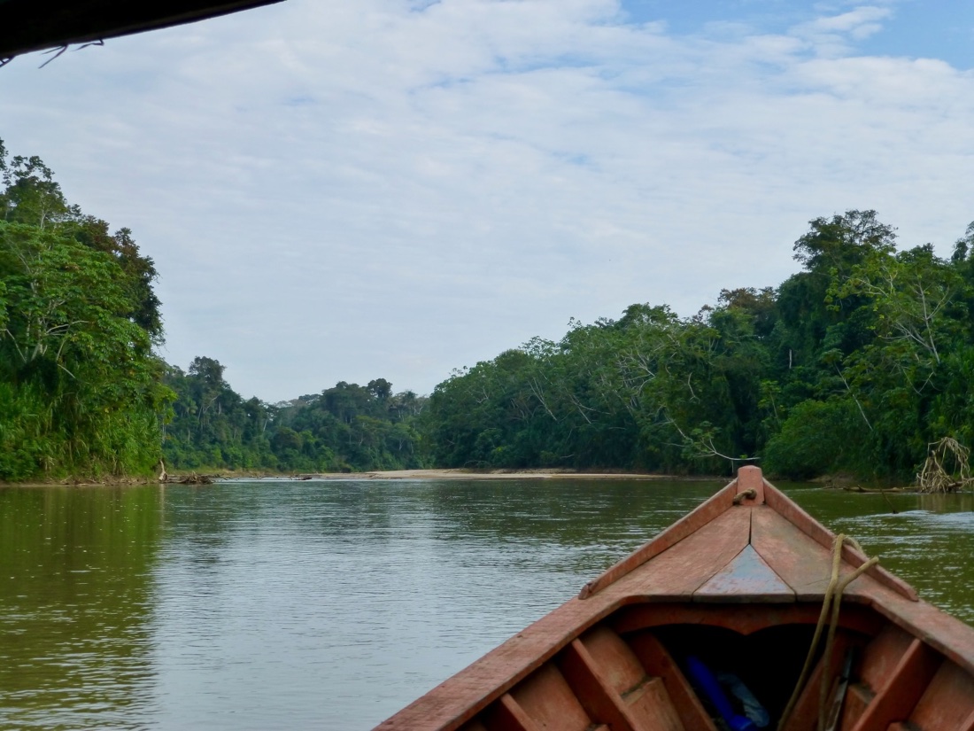 A river running through lowland tropical forest, seen from the bow of a boat.