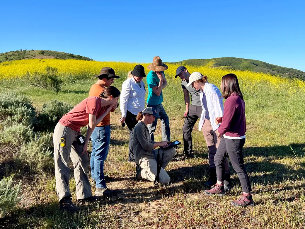 The SHIFT field team gathered around a kneeling researcher recording data on a tablet, in a grassland below mustard-covered hills.